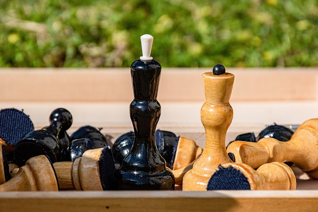 其回撤组织 其回撤组织