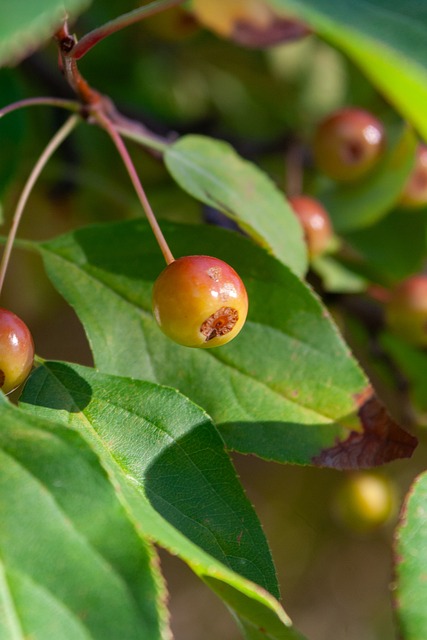 各种互动体 各种互动体