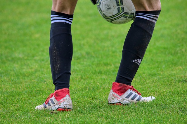 顽强拼搏的 顽强拼搏的