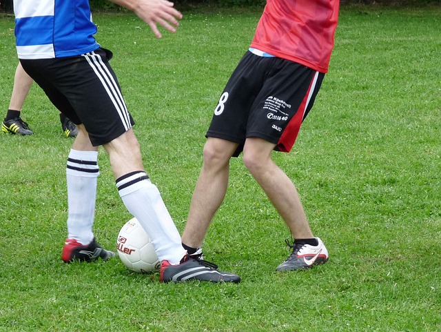 將為國米下 將為國米下