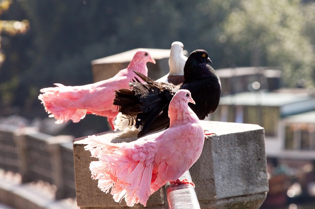 爆发力和关 爆发力和关